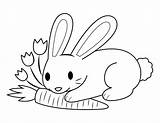 Coloring Carrot Bunny Pages Printable Paper sketch template