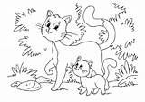 Cuccioli Gattini Animali Gatti Gatto sketch template