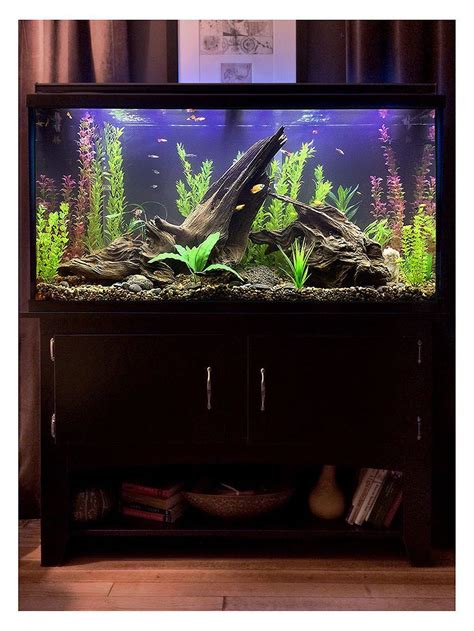 gorgeous  awesome fish tank ideas httpsgardenmagzcom awesome