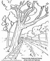 Arbor Coloring Pages Trees Tree Sheets Bare Plant Clipart Holiday Kids Planting Streetside Honkingdonkey Printable Oak Library Popular sketch template