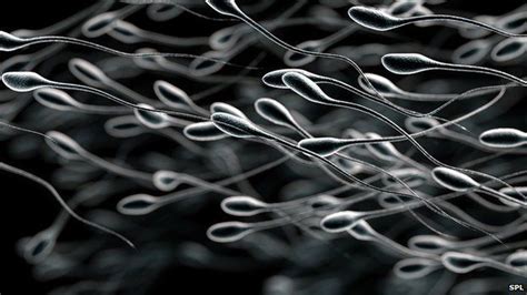 Freeze Sperm At 18 Bioethicist Urges Men Bbc News