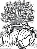 Coloring Fall Pages Harvest Autumn Printable Adult Adults Wheat Thanksgiving Sheets Flowers Cornucopia Colouring Color Festival Scenes Easy Drawing Kids sketch template