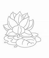 Coloring Flower Lotus Pages Petals Template Sketch Kids sketch template