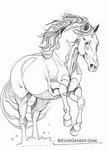 Andalusian Horses Pferde Friesian Lineart Pegasus Pixstats sketch template