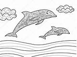 Dolfijn Kleurplaat Dolfijnen Delfini Colorare Volwassenen Coloring Boek Dolphins Dauphins Volwassen Kolorowanka Vettore Adulti Degli Delfino Depositphotos Delfiny Disegni Printen sketch template