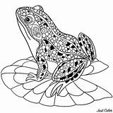 Frog Davemelillo Zentangle Frogs sketch template
