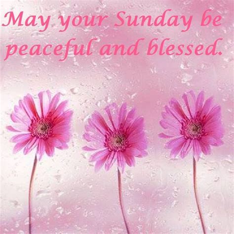 83 best images about happy sunday °° † °° on pinterest sisters have a great sunday and happy