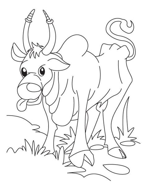 domestic animals coloring pages coloring home