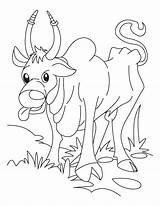 Coloring Domestic Animals Pages Popular sketch template