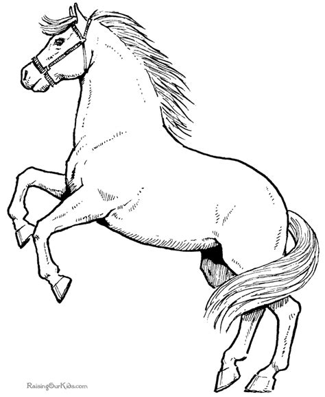 horse coloring pages  coloring page