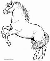 Coloring Pages Horse Pony Horses Kids Popular sketch template