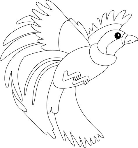 bird  paradise kids coloring page great  beginner coloring book