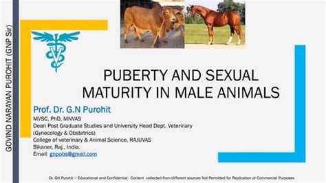 andrology lecture 9 puberty and sex maturity ppt