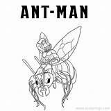 Coloring Ant Pages Man Insect Partner Xcolorings 900px 69k Resolution Info Type  Size Jpeg Printable sketch template