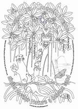 Mangrove Colouring Drawing Tree Rum Sheets Restore Ubin Nipah Paintingvalley sketch template