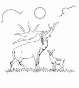 Reindeer Caribou Scribblefun sketch template