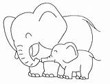 Elefant Colorat Desene Planse Coloring sketch template