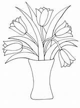 Tulip Tulips Coloringfolder Drawings sketch template