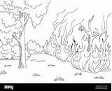 Wildfire sketch template
