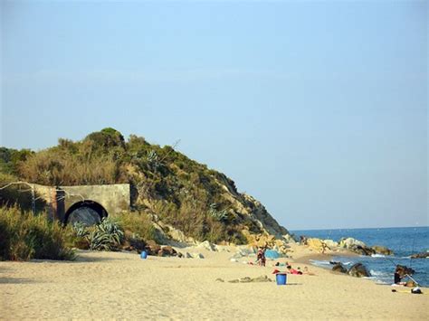 canet de mar beach  beach  canet de mar  barcelo federico romano flickr