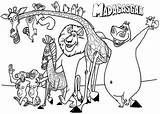 Madagascar Coloringpagesfortoddlers sketch template