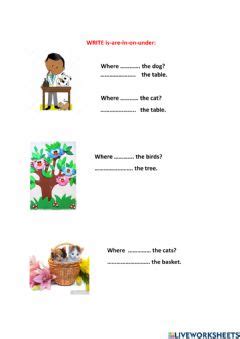 place prepositions  exercise