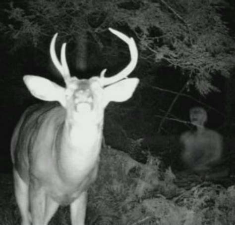 13 Of The Scariest Things Ever To Be Caught On Trail Cameras