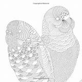 Birds Beautiful Treetop Treasures Amazon Choose Board Pages Parrot Coloring Marotta Millie sketch template