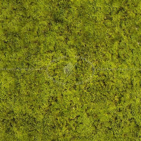 Moss Textures Seamless