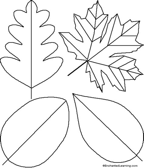 leaf template   leaf template png images
