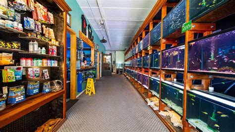 place  buy  aquarium fish   locally
