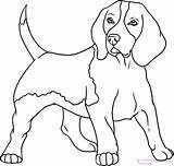 Coloring Realistic Pages Dogs Getcolorings Dog sketch template
