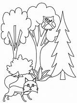 Colorat Planse Si Pomi Padure Copaci Pine Flori Blumenmalvorlagen Imagini sketch template