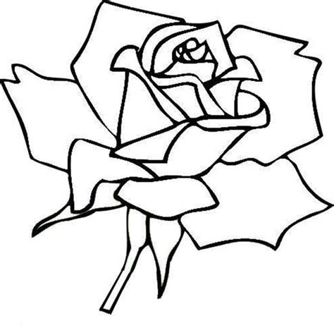 rose coloring pages learny kids
