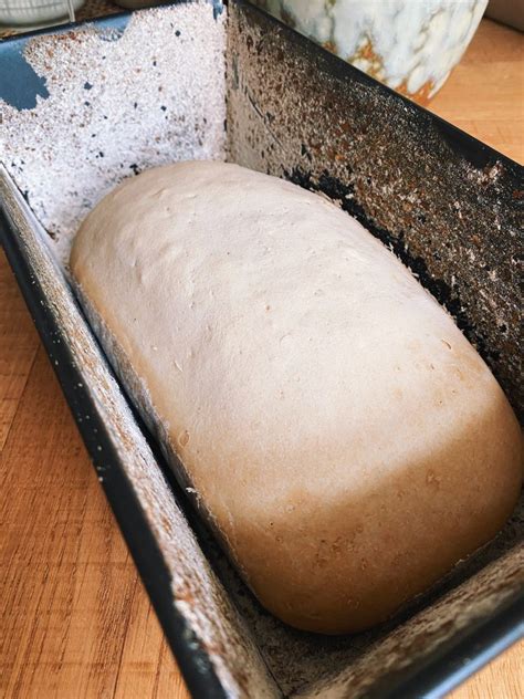 glutenvrij brood bakken oven  broodbakmachine maak het glutenvrij