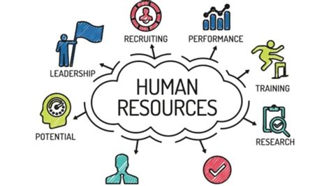 academic  career options  human resource management knowledge lands