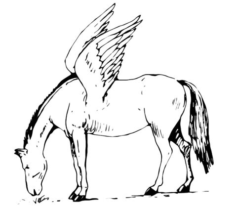 animals winged horse
