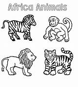 Coloring Safari African Animals sketch template