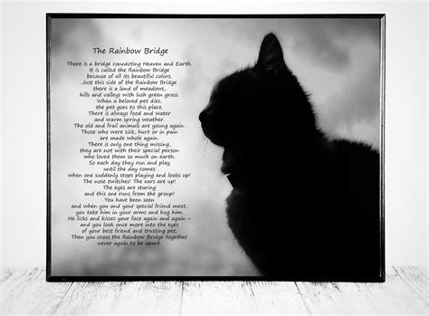 rainbow bridge cat poem printable printable templates