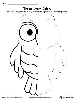 leaf mirror image worksheet myteachingstationcom