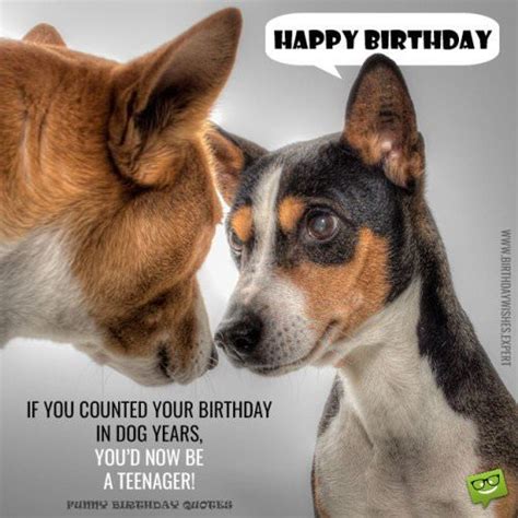 Sarcastic Birthday Wishes Funny Messages For Those
