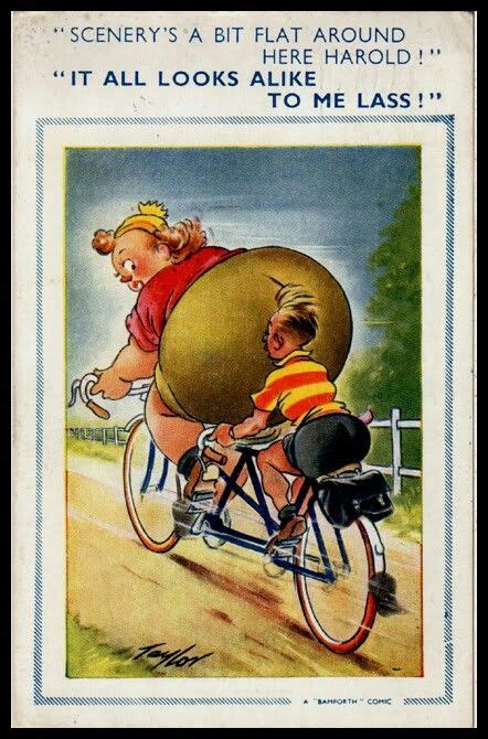 Comic Vintage Postcard Fat Lady Bamforth Cycling Big Beautiful Women