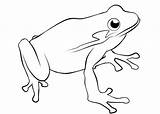 Malvorlage Frosch Frosh Ausdrucken Malvorlagen sketch template