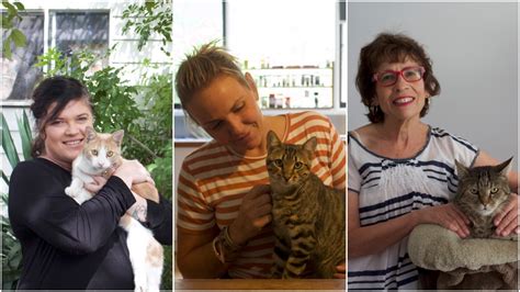 mujeres con gatos explican por qué los gatos son mejores que los hombres