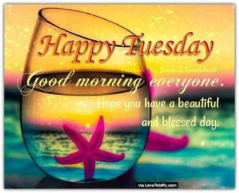 happy tuesday good morning everyone good morning tuesday wishes good