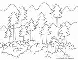 Forest Coloring Pages Printable Scene Nature Colouring Trees Color Doodle Alley Tree Fire Rainforest Print Animals Animal Mountains sketch template