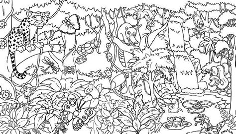 sonquest rainforest coloring mural  gospel light publications