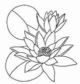 Coloring Water Lily Lilies Printable Getcolorings Flowers Getdrawings Acoloringbook Color выбрать доску sketch template