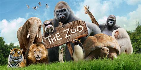 zoo cbbc comedy british comedy guide