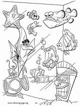 Nemo Finding Coloring Pages Tank Gang Color Gurgle Gill Colouring Peach Fish Starfish Disney Jacques Bubbles Book Bloat Gramma Moorish sketch template